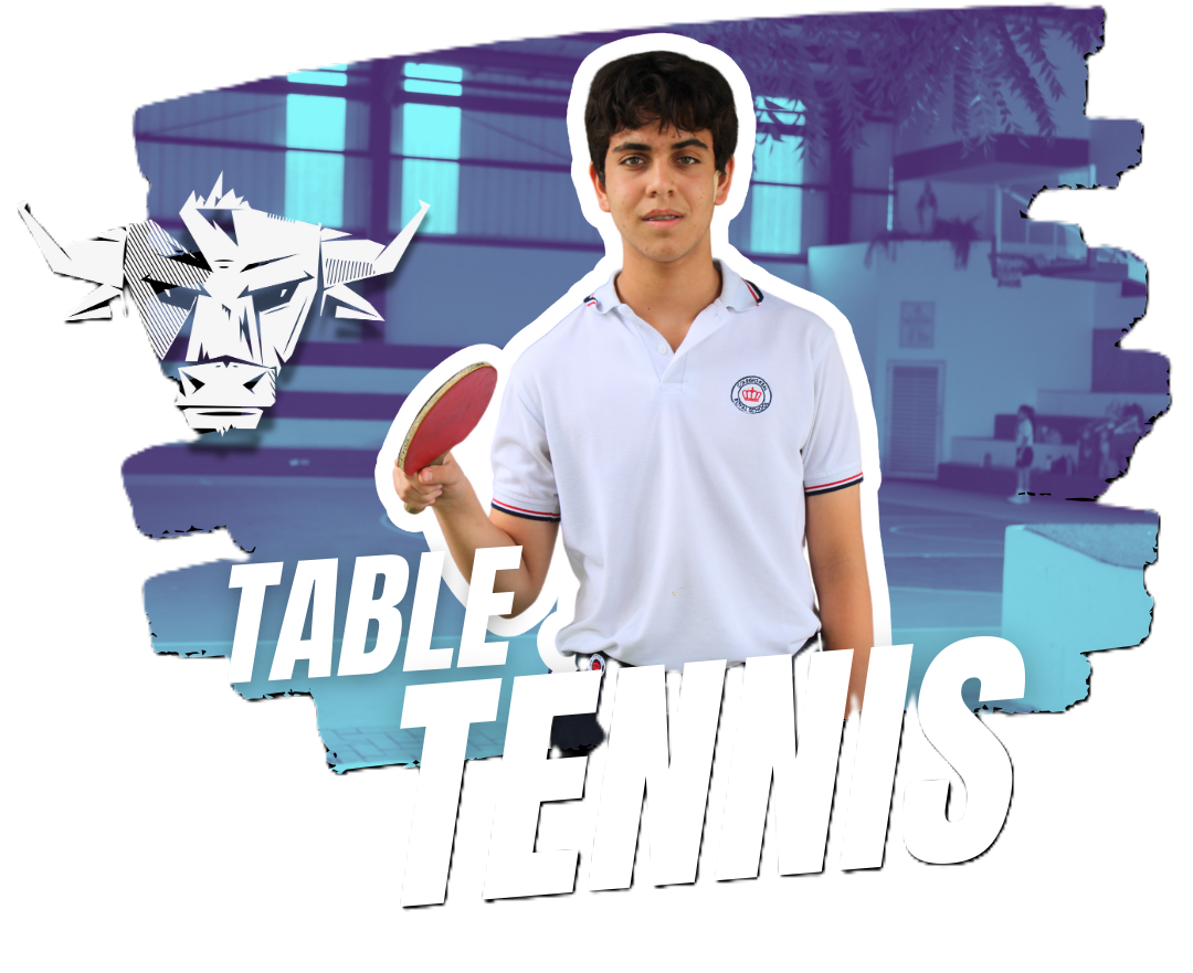 Imagen de Table Tennis 